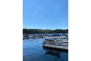 Surrounded by a serene forest, this marina offers a tranquil waterfront setting with boats docked nearby.