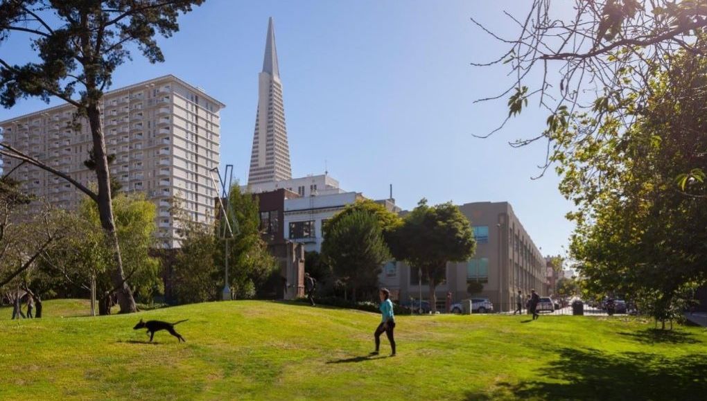A park with a grassy area, trees, and buildings in the background.