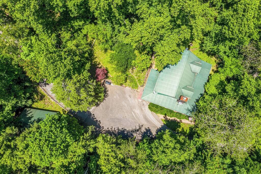 Vista aérea de una casa rodeada de un bosque verde y frondoso.