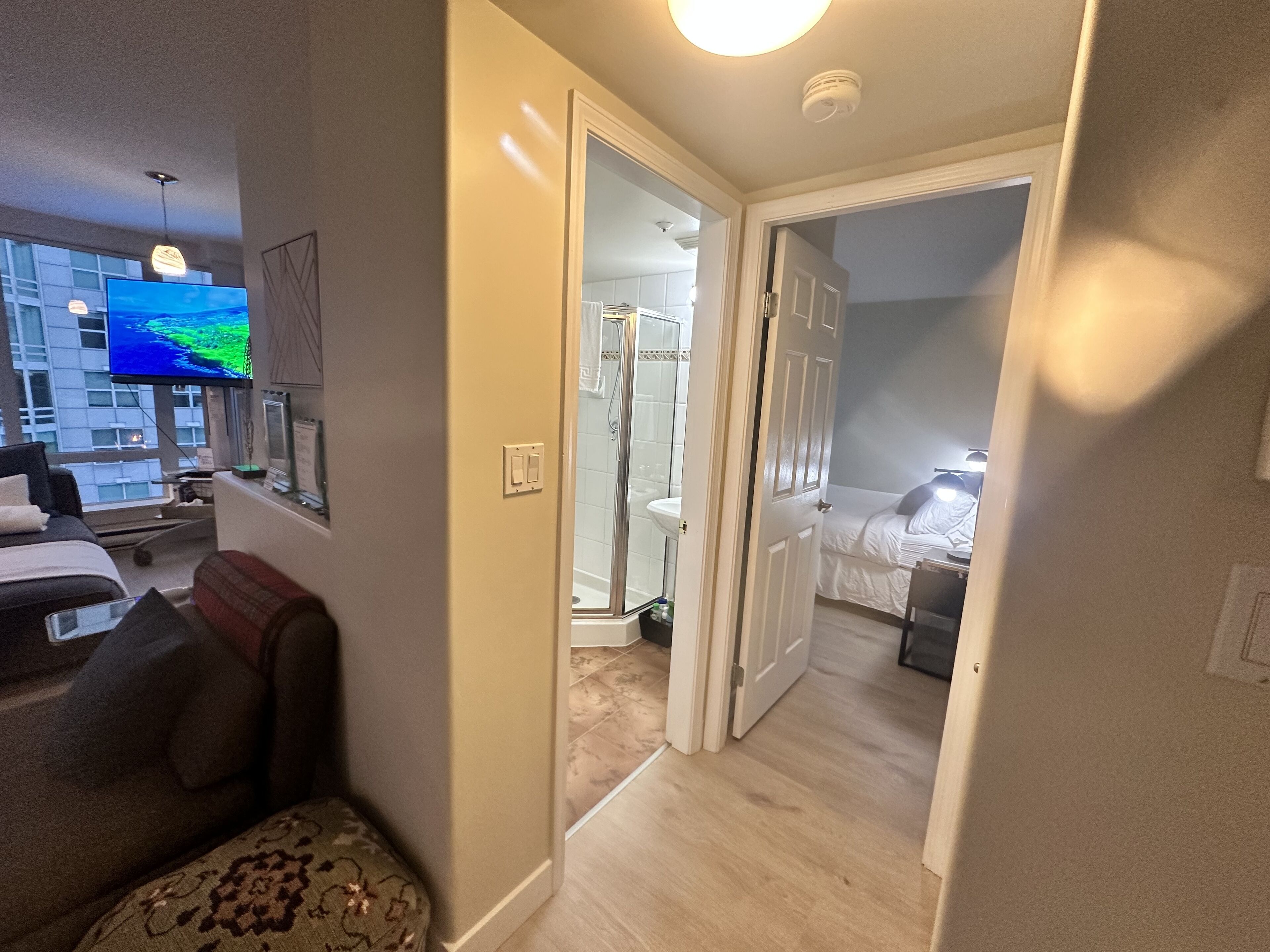 Une chambre d’hôtel avec un canapé, une télévision, une salle de bain avec douche et un lit.