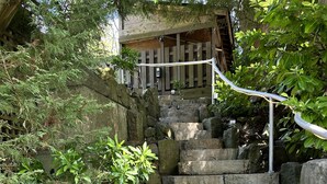 Una escalera de piedra que sube hacia una estructura de madera, rodeada de vegetación.