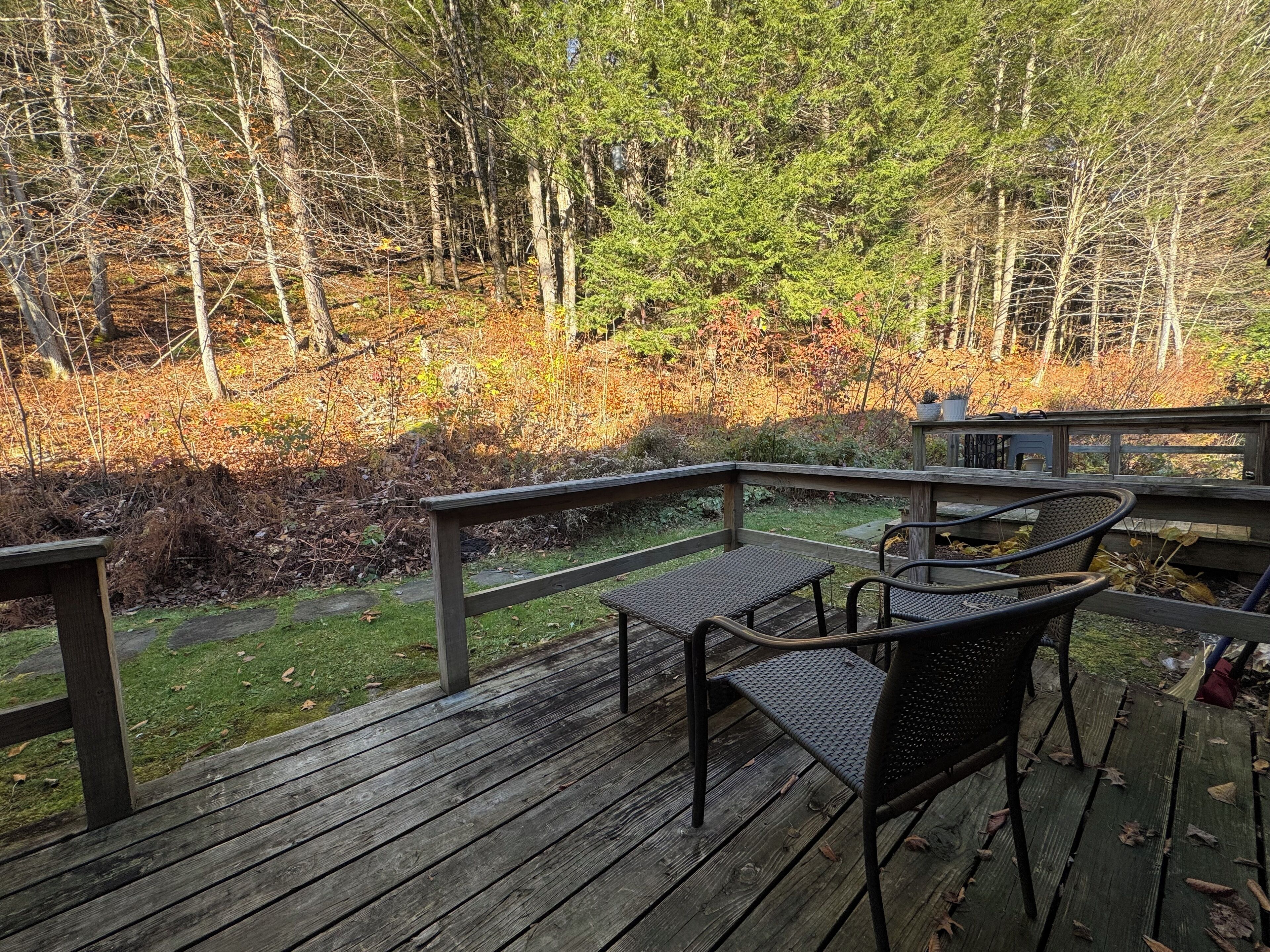A wooden deck with a table and chairs, surrounded by a forested area.