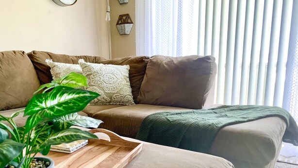 Ein Wohnzimmer mit einer braunen Couch, einer grünen Pflanze und einem Holztablett.
