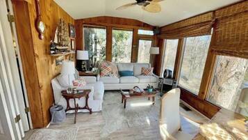 TV connectée, cheminée, livres