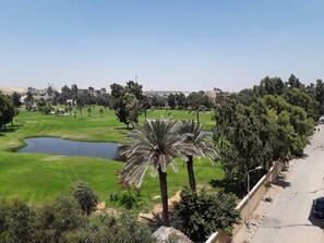 جولف