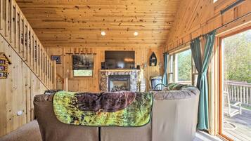 TV, fireplace, video games, DVD player