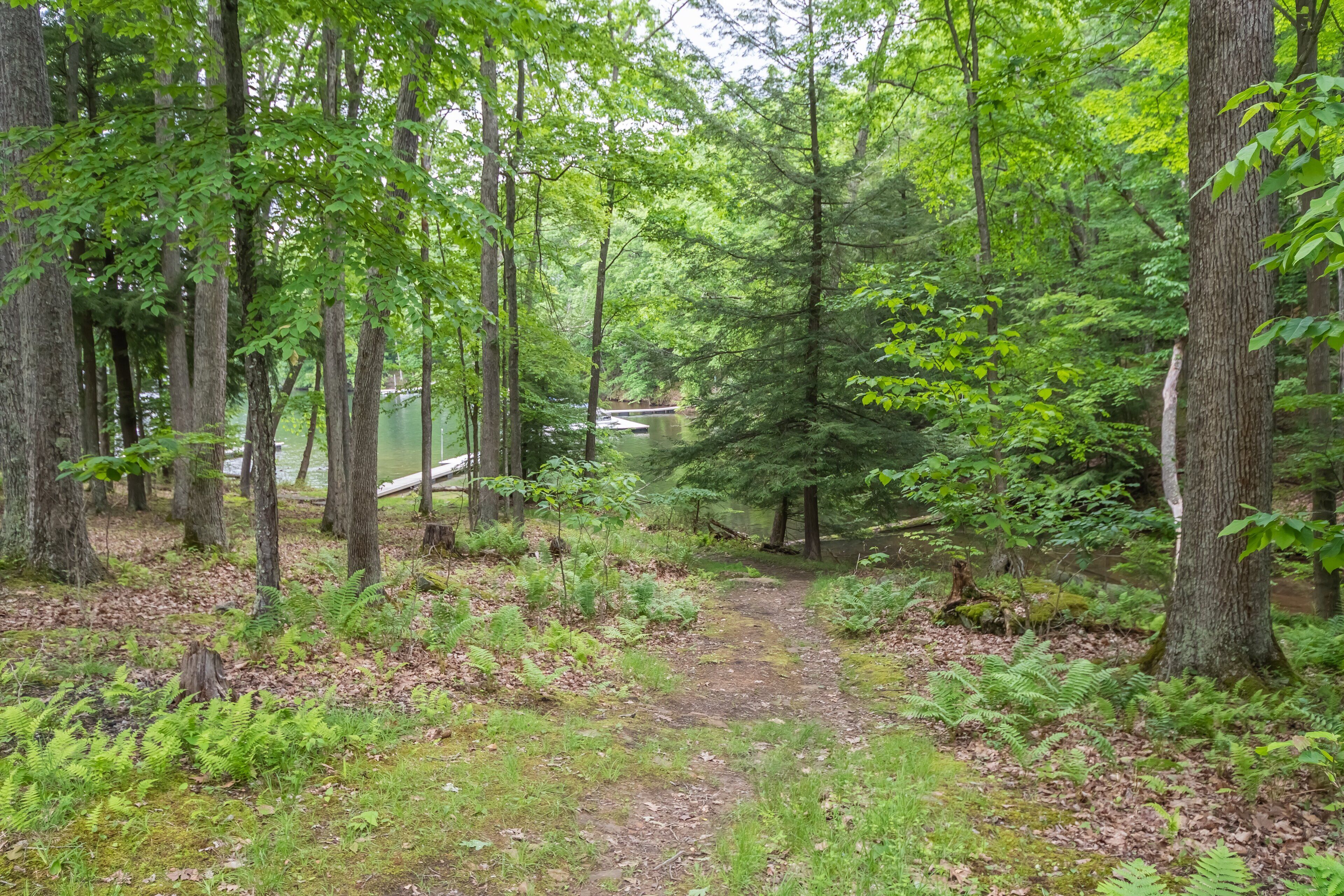 A forested area with a dirt path leading to a bridge over a body of water.