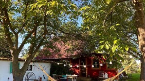 Eine Hängematte unter einem Baum, ein rotes Haus mit rotem Dach und ein weißes Gebäude mit grüner Tür.