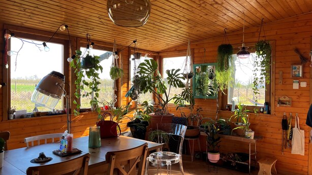 Ein Holzhäuschen im Inneren mit einem Esstisch, Stühlen, hängenden Pflanzen und einem großen Fenster.
