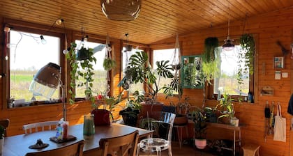 Cozy cabin close to Budapest and Lake Velence (Pet-Friendly)