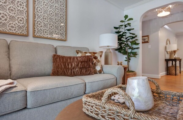 Smart TV, fireplace, books
