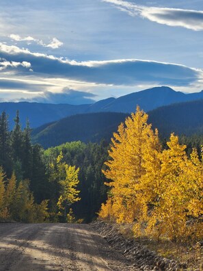 Property grounds - Off-Grid Escape, Log Cabin, Secluded Deep in the Wild near Rock Lake! (Rock Lake Provincial Park)