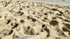 Una playa arenosa con huellas que se adentran en el agua, un cielo despejado y formas de tierra en la distancia.