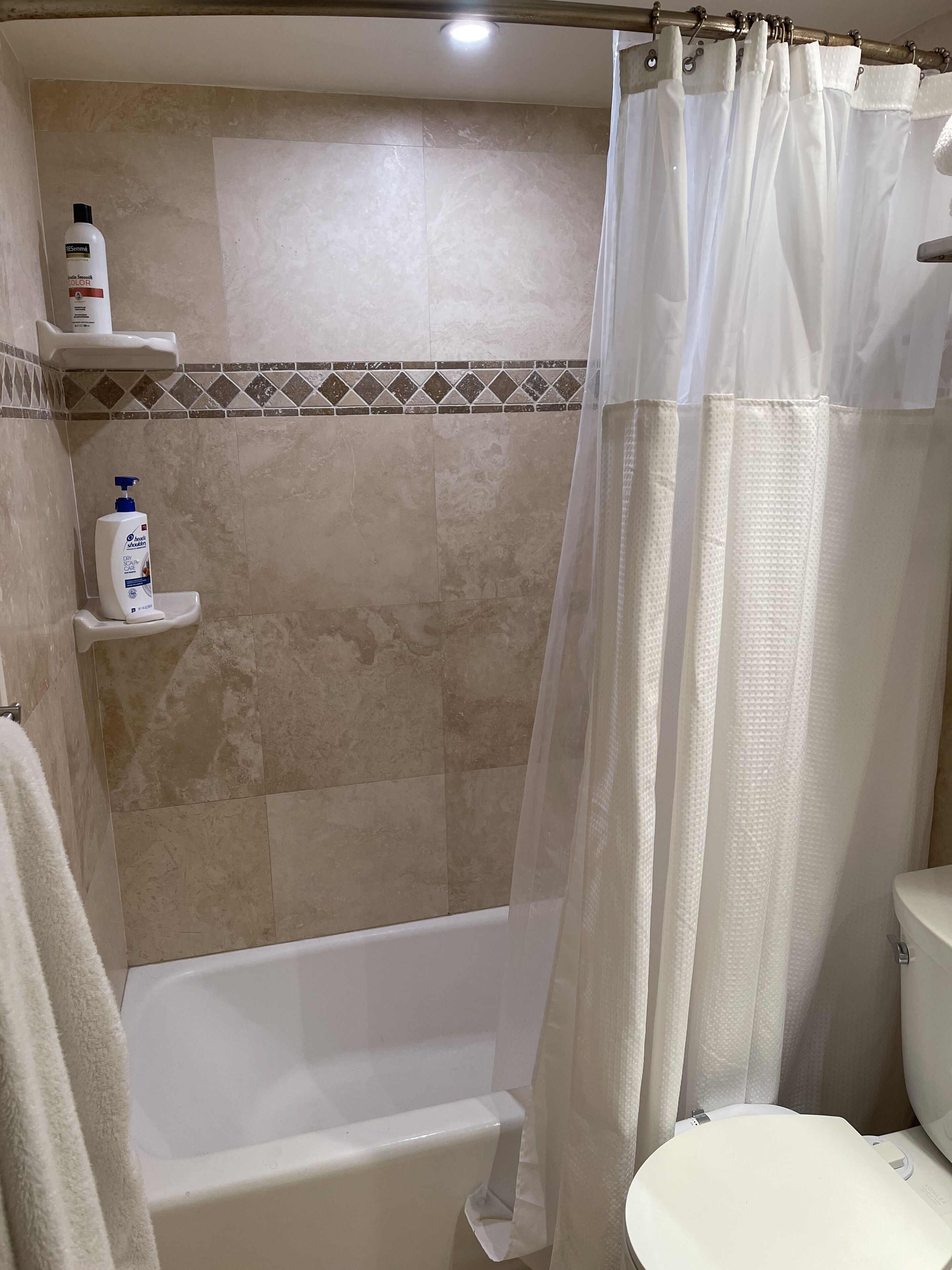 Combined shower/tub, hair dryer, bidet, towels