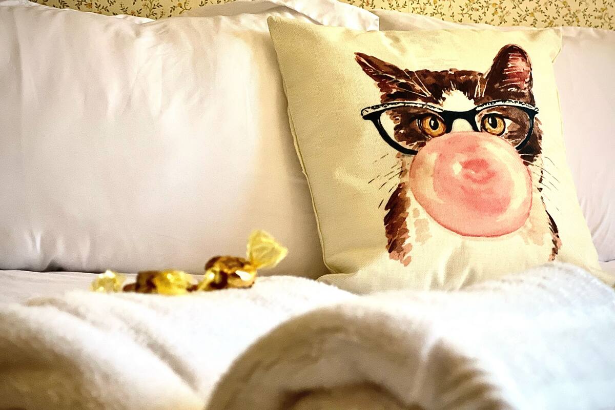 A bed with a pillow featuring a cat wearing glasses and a pink nose.