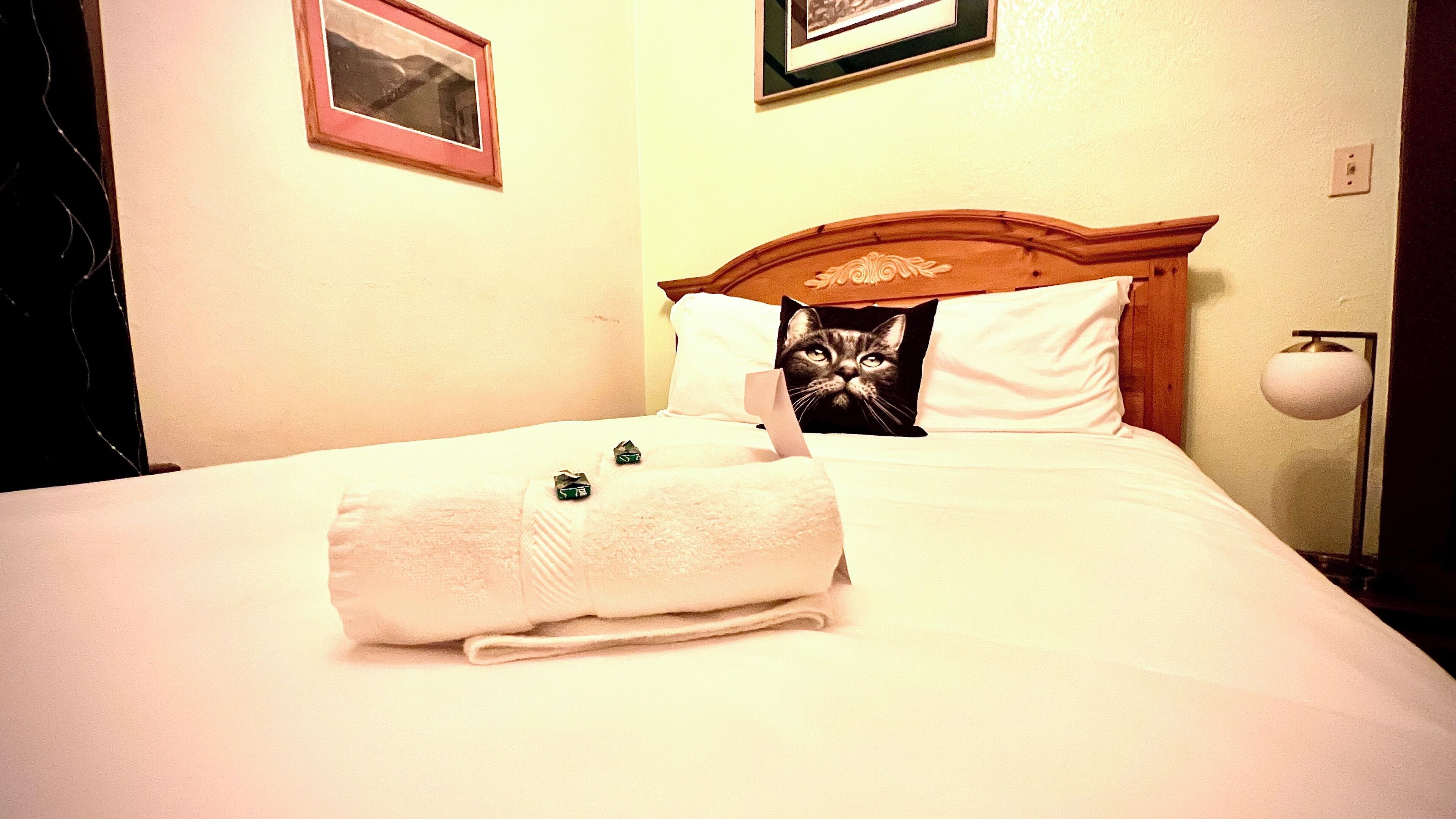 A neatly made bed with a folded white towel and a pillow with a cat image.