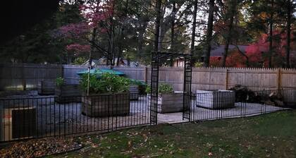 Mid Century Modern home 2 minutes from the beach and trails close to everything!