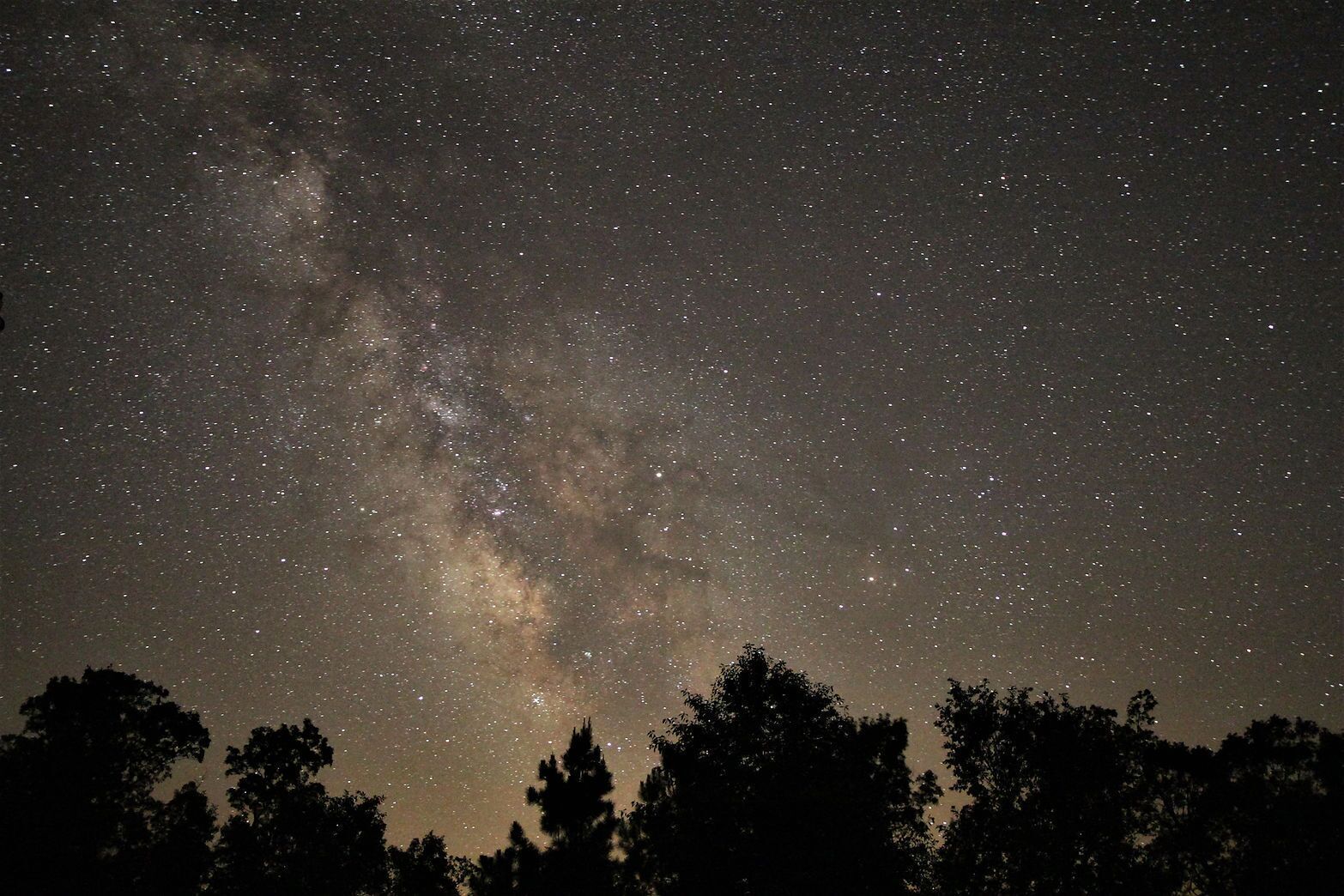 A night sky filled with stars and the Milky Way.