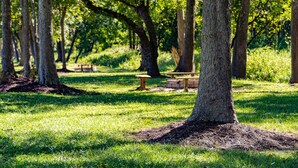 Un parc avec des arbres, de l’herbe et des tables de pique-nique.