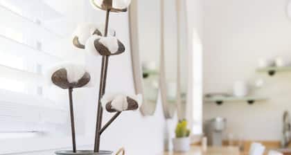 Creekside Cottage at Hanover Stables