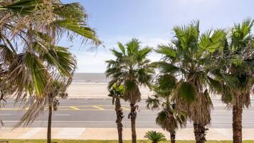 A view of palm trees and a road leading to a beach.