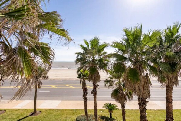 Beach - Luxury Oceanfront Family Sized Condo (Galveston)