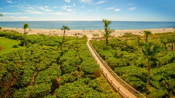 On the beach - Kings Crown 117 (Sanibel)