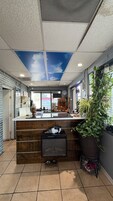 Interior de un restaurante con mostrador de madera, un mural en el techo y una planta grande en maceta.
