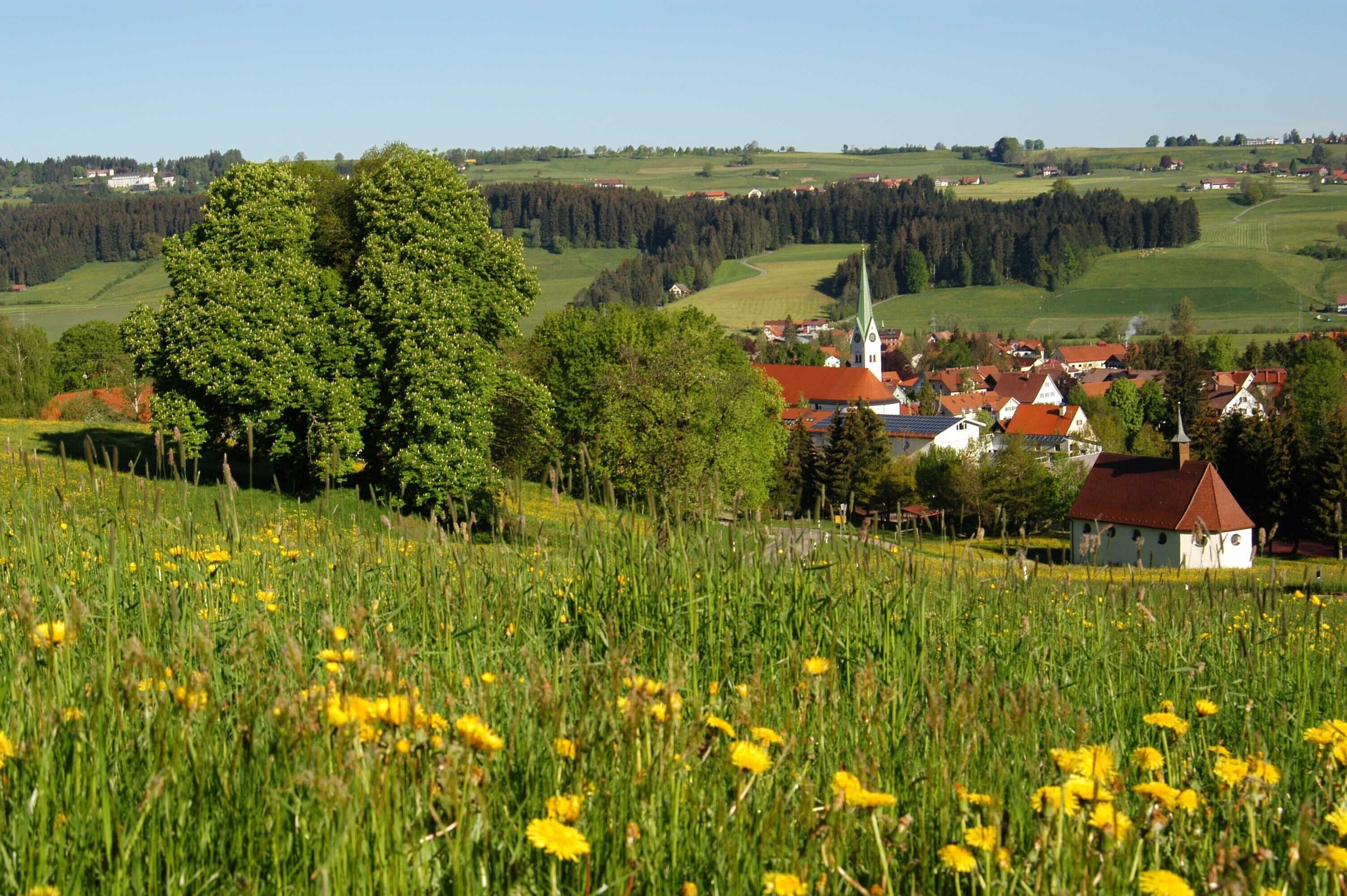 Un village rural avec une église, des maisons et un grand arbre.