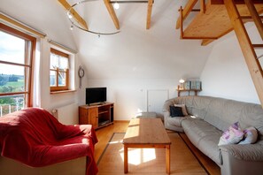 Tv, spillekonsol, bordtennisbord, stereoanlæg