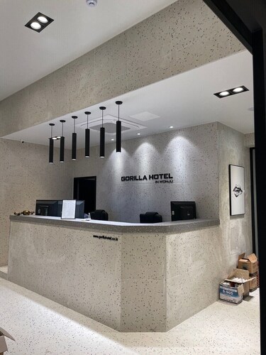 Gorilla Hotel the  Wonju