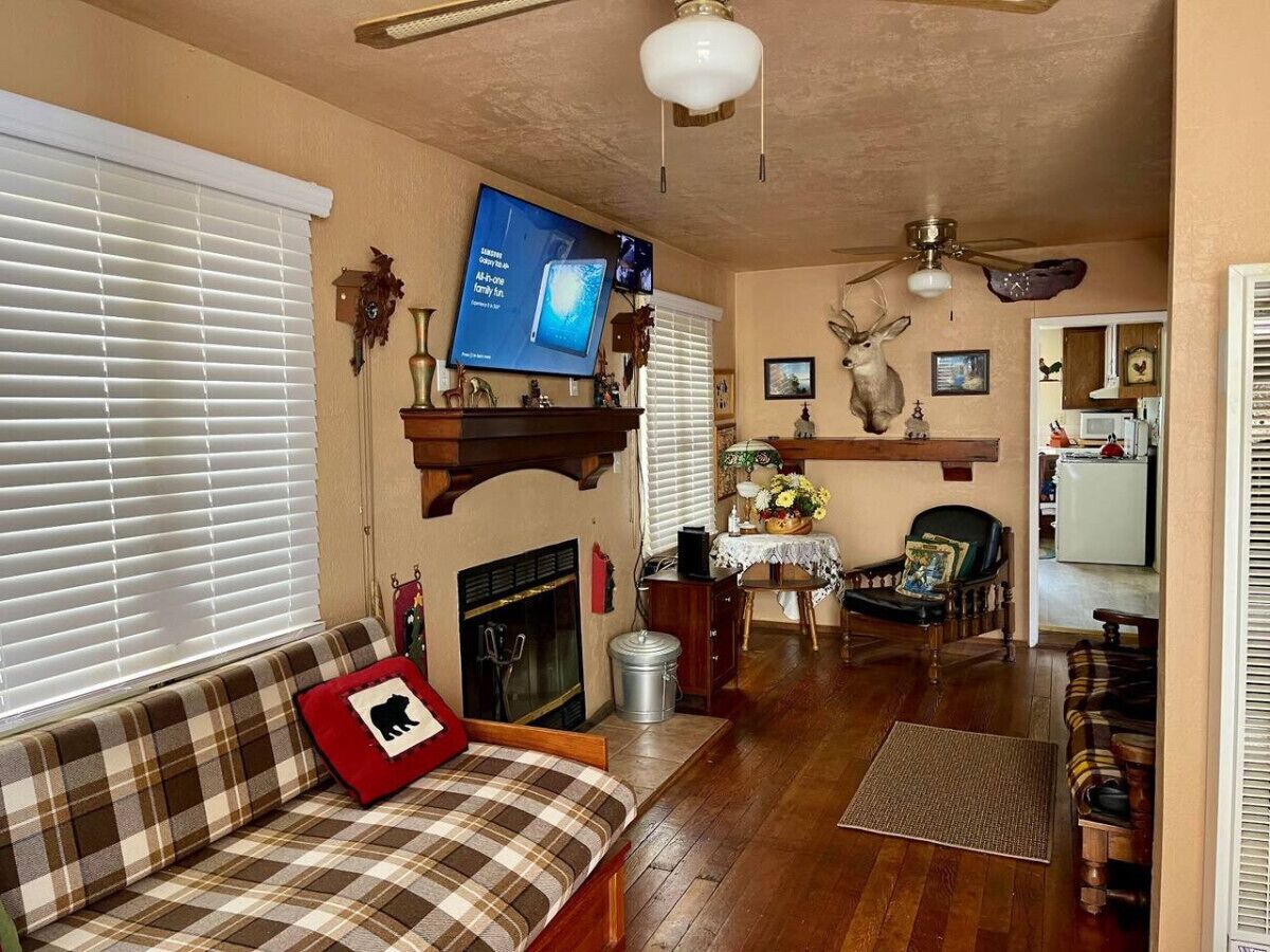 Televisión, chimenea y videojuegos 