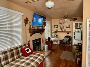 TV, fireplace, video games