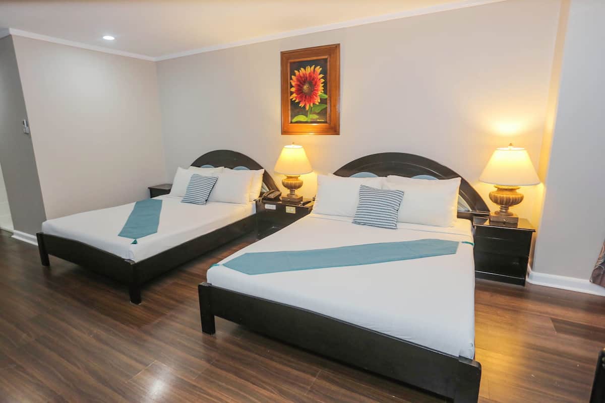 Suite ejecutiva | 1 habitación, escritorio, wifi gratis y ropa de cama