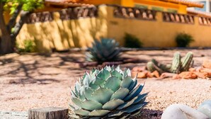 Een woestijntuin met agaveplanten en cactussen, een houten paal en een gebouw met pannendak op de achtergrond.
