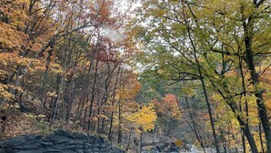 A winding road flanked by autumn-colored trees and a stone wall. - Slopeside Condo with indoor fireplace (Hunter)