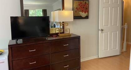 Sunny Studio with private ensuite bath close to IAH, HCA!