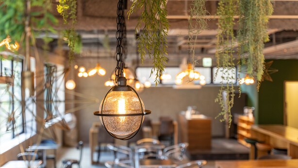 A restaurant interior with hanging plants, pendant lighting, and a modern seating arrangement. - WISE OWL HOSTELS SAPPORO (Sapporo)