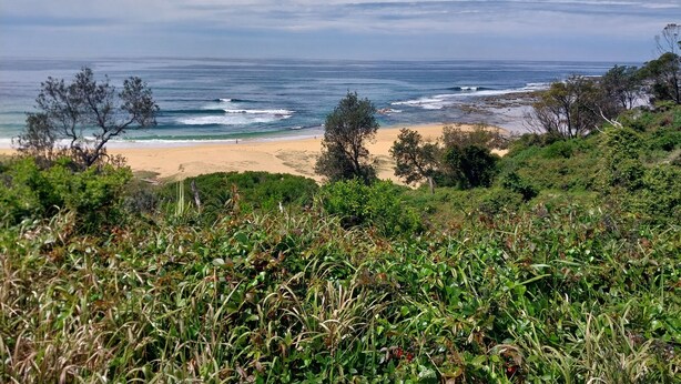 A coastal landscape with a beach, ocean, and vegetation. - Secluded Pool House getaway- 500m to patrolled Shelly Beach (Shelly Beach)