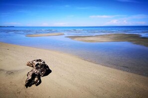 Beach nearby - Apartment in Moriani-Plage by the Beach (Moriani)