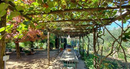 Holiday Home in Tuscany near Lucca