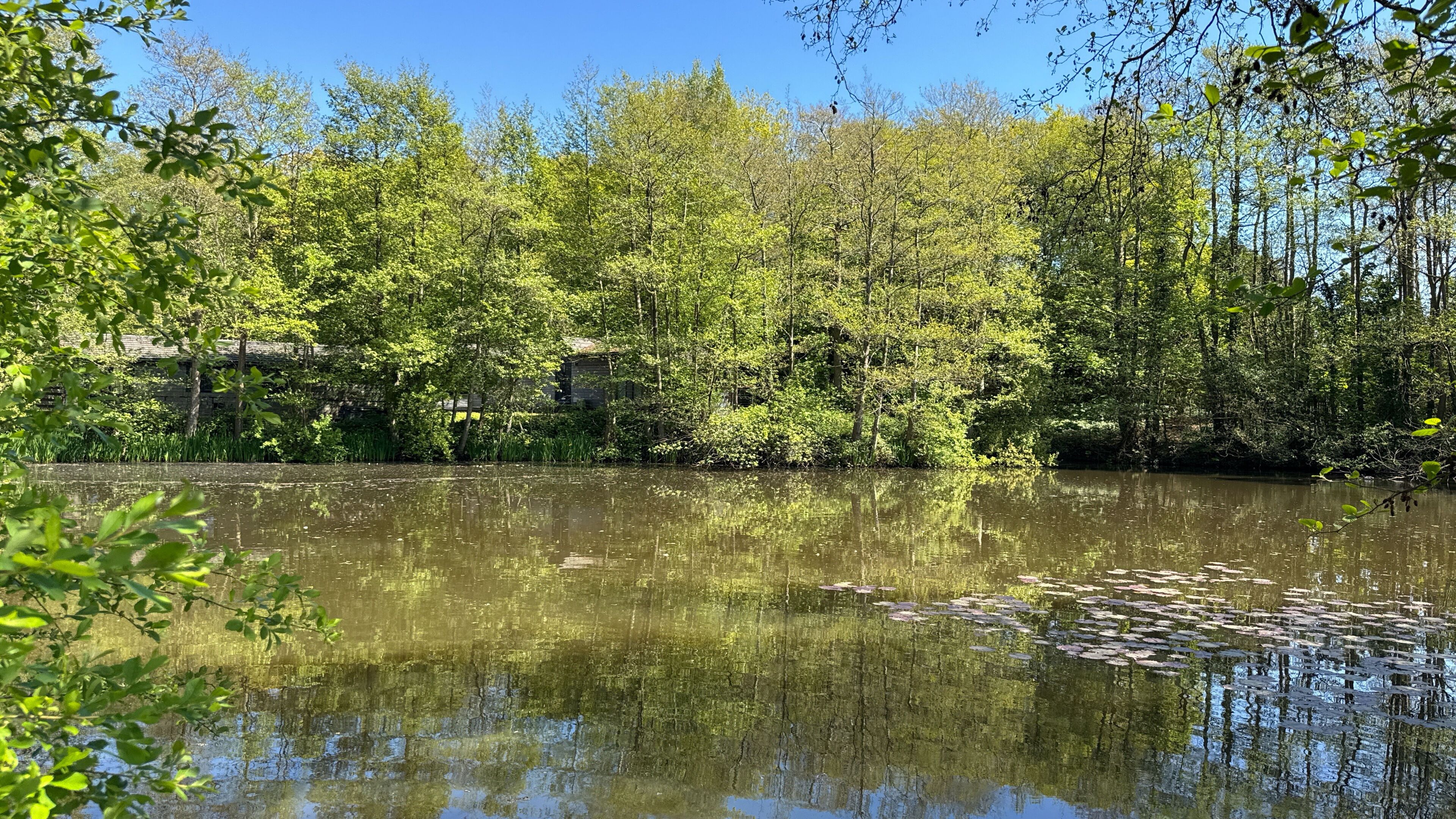 Un lago tranquilo rodeado de árboles frondosos y un muro de piedra.