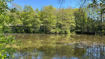 Un lago tranquilo rodeado de árboles frondosos y un muro de piedra.