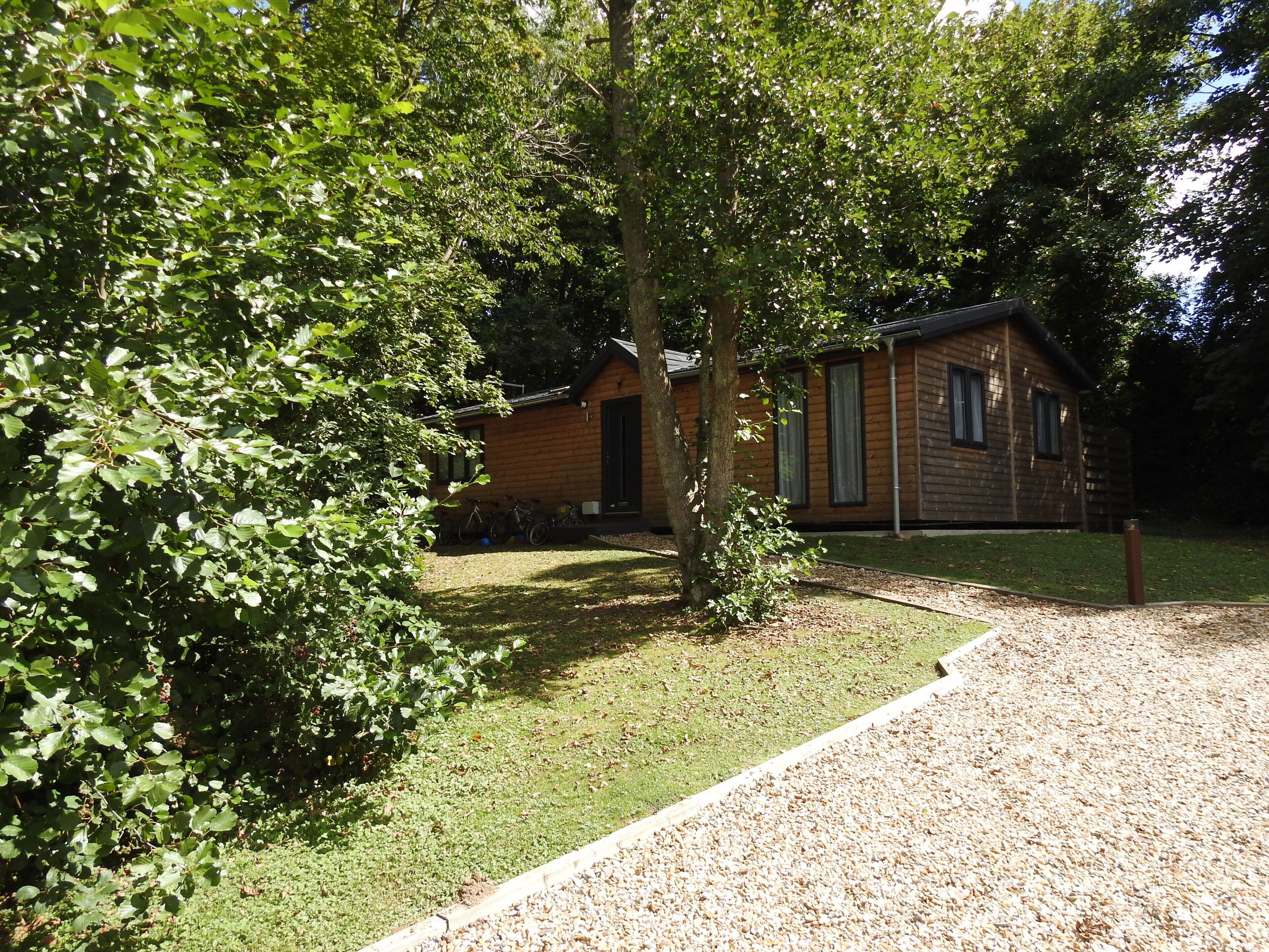 A wooden cabin with a gravel path leading to it, surrounded by dense green foliage.