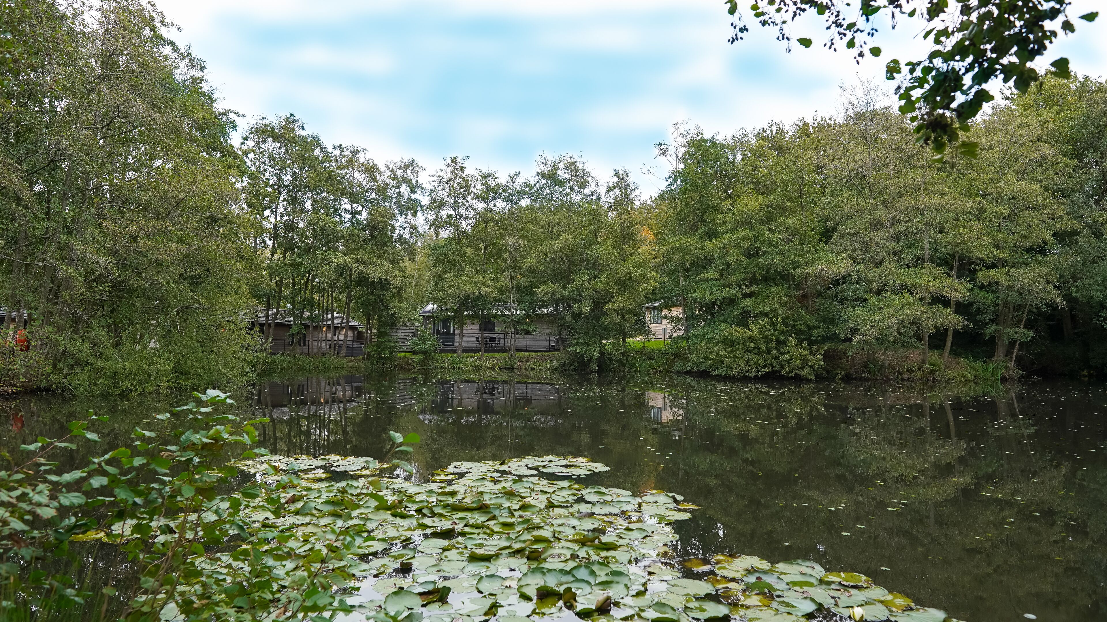 ラ  グジュアリー キャビン | 湖