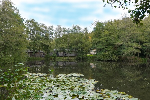 Luxury Cabin | Tasik