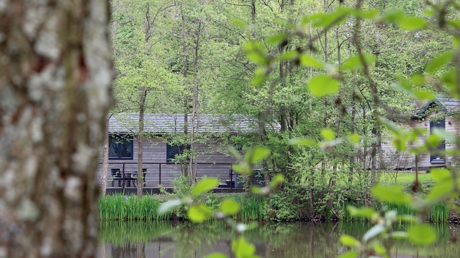 Warren wood Country Park