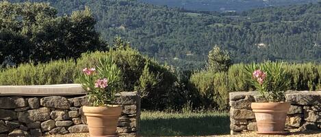 A patio with two terracotta pots of pink flowers, a stone wall, and a view of a forested mountain range.