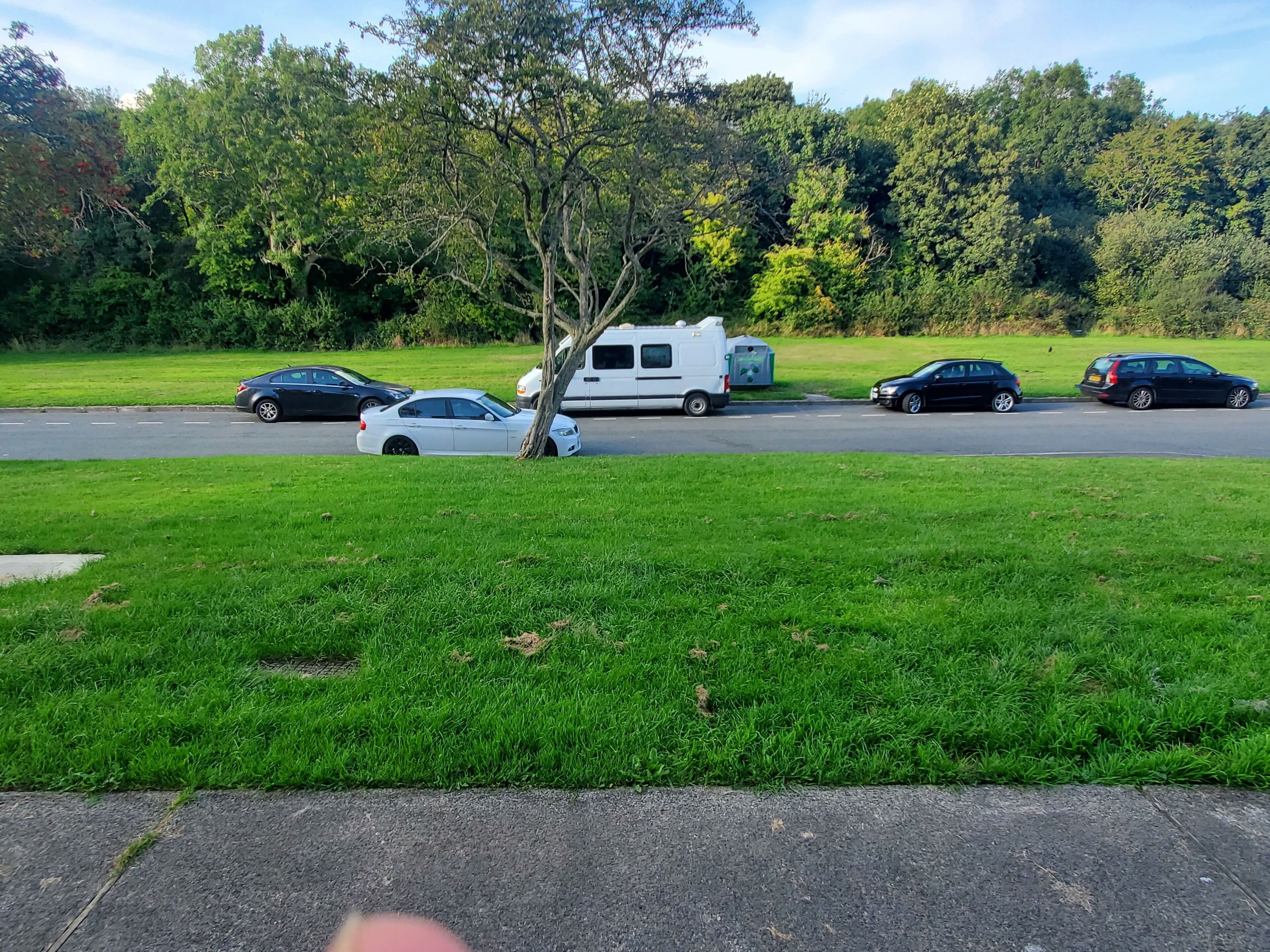Een grasveld met een weg en geparkeerde auto's.