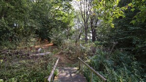 A wooden bridge with metal railings in a forested area. - Warren Cottage (Bures)